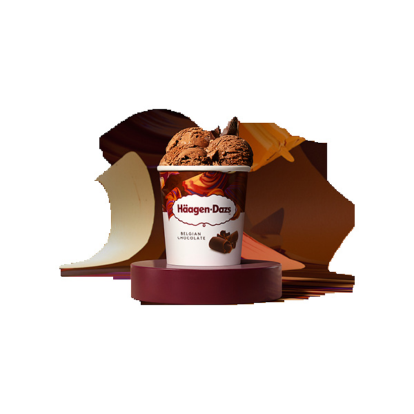 Haagen Dazs Belgian Chocolate 460Ml